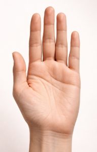 Close-up of palm showing major lines analyzed in palmistry methods including heart, head, and life lines