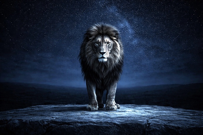 Lion standing still on dark ground under night sky reflecting Leo symbolism