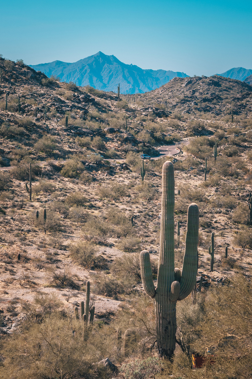 Planning a Corporate Event in Phoenix Arizona